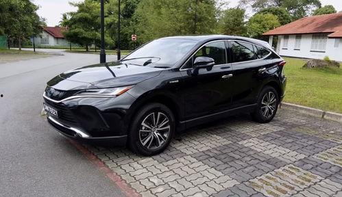 国产官网,探索创新科技,引领未来生活新篇章